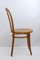 Gebogener A18 / 14 Stuhl aus Buche von Thonet / Italcomma-Pesaro, 1850er 2