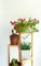 Vintage Italian Bamboo Inaltolepiante Plant Stand, 1970s 3