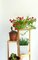 Vintage Italian Bamboo Inaltolepiante Plant Stand, 1970s, Image 3