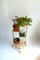 Vintage Italian Bamboo Inaltolepiante Plant Stand, 1970s, Image 7