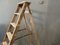 Antique Ladder 3