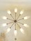 Mid-Century Chandelier with 10 Lights, Italy 6