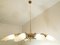 Mid-Century Chandelier with 10 Lights, Italy 2