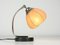 Vintage Pergament Tischlampe 10