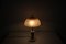 Mid-Century Table Lamp / Stone Prague, 1950s, Image 11