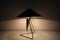 Lampada da tavolo grande in metallo di Helena Frantova per Okolo, anni '60, Immagine 12