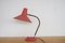 Mid-Century Sculptural Table Lamp, France 3