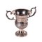 Silver Vase Cup, Image 1