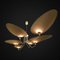 2020 Spider Lampe von Diego Mardegan 8