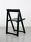 Vintage Trieste Folding Chairs by Aldo Jacober for Bazzani, Set of 2, Image 4