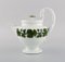 Green Ivy Vine Leaf Teapot, Sugar Bowl, Cream Jug and Serving Tray from Meissen, Set of 4 6