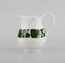 Servicio de café Egoist en forma de hoja de vid de hiedra verde de porcelana pintada a mano de Meissen. Juego de 4, Imagen 6