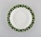 Grüne Ivy Vine Leaf Teller aus handbemaltem Porzellan von Meissen, 1940er, 10er Set 4