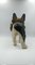 Bulldog francés de papel maché, década de 1900, Imagen 4