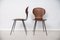 Chaises Lulli par Carlo Ratti, Set de 2 2