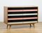 U-453 Chest of Drawers by Jiri Jiroutek for Interier Prague, 1960s, Image 2