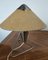 Lámpara de mesa de Helena Frantova para OKOLO, años 50, Imagen 3