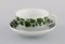 Meissen Green Ivy Vine Leaf Egoist Coffee Service in Hand-Painted Porcelain, Set of 5 5