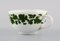 Meissen Green Ivy Vine Leaf Egoist Coffee Service in Hand-Painted Porcelain, Set of 5 7