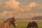 Knud Edsberg, Olio su tela, paesaggio con cavalli e mucche, Immagine 6