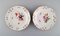 Antique Plates in Porcelain with Hand-Painted Flowers from Meissen, Set of 8, Image 4