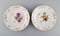 Antique Plates in Porcelain with Hand-Painted Flowers from Meissen, Set of 8 3