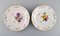 Antique Plates in Porcelain with Hand-Painted Flowers from Meissen, Set of 8, Image 3