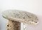 Terrazo Pierre Low Table by Plumbum, Image 6