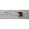 Pisara Spoon, Small by Antrei Hartikainen, Image 3