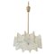 Austrian Frosted Glass Chandelier by J. T. Kalmar for Kalmar, 1960s, Image 1