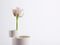 Vase Composition by Gilli Kuchik & Ran Amitai, Image 3