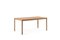 Citizen Dining Table 160x85cm by etc.etc. for Emko 3