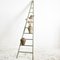 Large Antique French Fruit Picking Ladder, Image 2