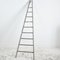 Large Antique French Fruit Picking Ladder 1