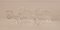 Großer Kronleuchter aus klarem & pinkem Muranoglas von Carlo Nason 5