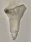 Französische Art Deco Wandlampe, 1940er 1