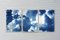 Dense Rolling Clouds, Blue Sky Landscape Triptych, Handmade Cyanotype on Paper, 2021, Image 6