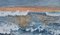 Penny Rumble, Western Promise, A Good Day Beckons, Large Seascape Oil Painting, 2021, Image 1