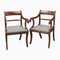 Regency Carver Chairs in Mahogany, Set of 2 1