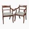 Regency Carver Chairs in Mahogany, Set of 2, Image 1