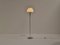 Floor Lamp by Goffredo Reggiani for Reggiani 2