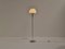 Lámpara de pie de Goffredo Reggiani para Reggiani, Imagen 2