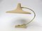 Witch's Hat Table Lamp in Brass with Dark Beige Shrink Varnish, Germany, 1950s 1