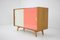 Mid-Century Sideboard by Jiří Jiroutek, 1960s, Image 4