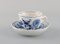 Tasses à Café Meissen Antiques en Porcelaine Peinte à la Main, Début 20ème Siècle, Set de 8 2