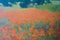 Paesaggio post impressionista, metà XX secolo, olio di M Noyes, Immagine 3