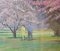 Apple Blossom Tree Park, Mid 20th-Century, Paysage Impressionniste, Huile par Innes, 1950s 4