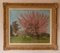 Apple Blossom Tree Park, Mitte 20. Jh., Impressionistische Landschaft, Öl von Innes, 1950er 2
