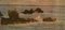 Seascape St Ives, impressionista pastello, William Henry Innes, 1960, Immagine 4