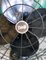 Large Vintage Oscillating Table Fan from Diehl, USA, 1930s 5